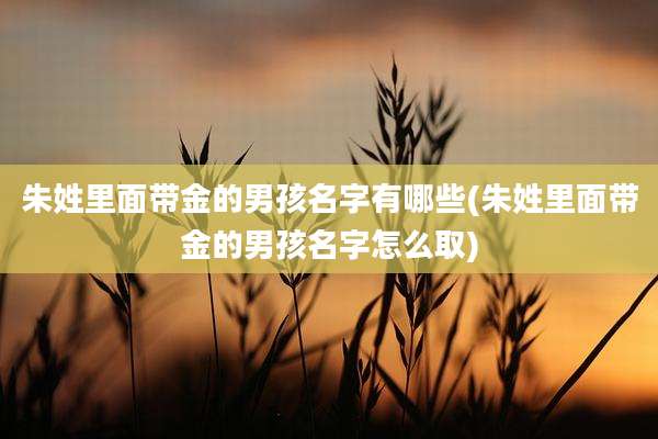 朱姓里面带金的男孩名字有哪些(朱姓里面带金的男孩名字怎么取)
