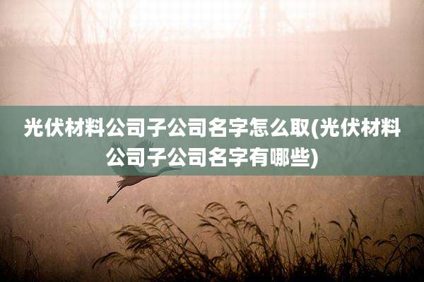 光伏材料公司子公司名字怎么取(光伏材料公司子公司名字有哪些)