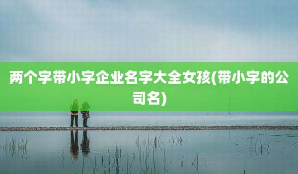 两个字带小字企业名字大全女孩(带小字的公司名)