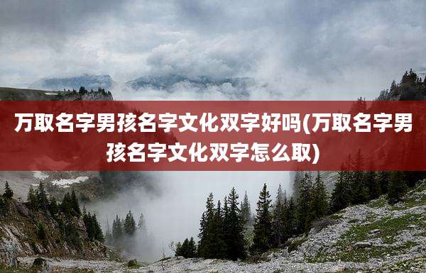 万取名字男孩名字文化双字好吗(万取名字男孩名字文化双字怎么取)