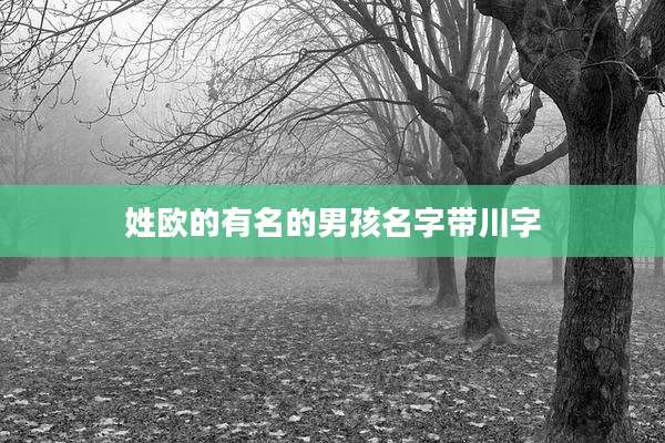 姓欧的有名的男孩名字带川字