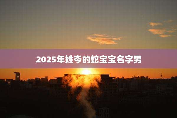 2025年姓岑的蛇宝宝名字男