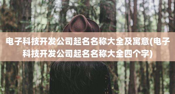 电子科技开发公司起名名称大全及寓意(电子科技开发公司起名名称大全四个字)
