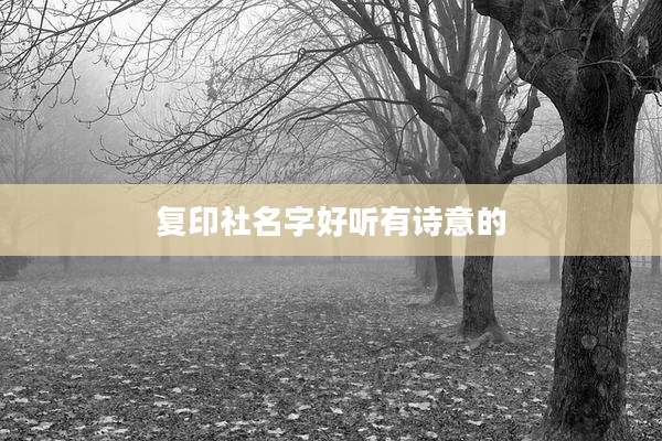 复印社名字好听有诗意的