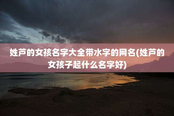 姓芦的女孩名字大全带水字的网名(姓芦的女孩子起什么名字好)