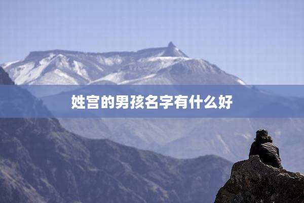 姓宫的男孩名字有什么好