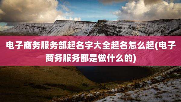 电子商务服务部起名字大全起名怎么起(电子商务服务部是做什么的)