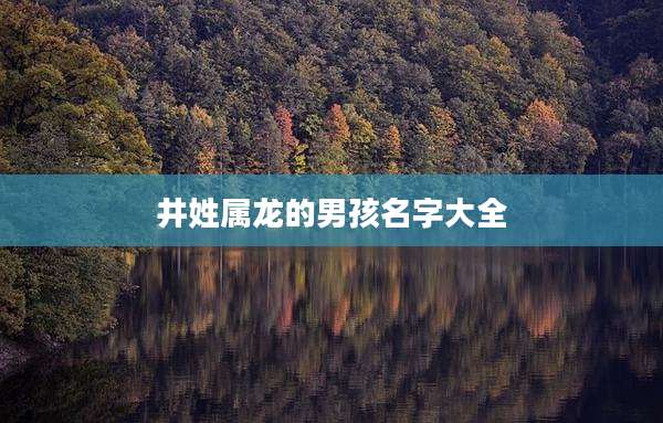 井姓属龙的男孩名字大全