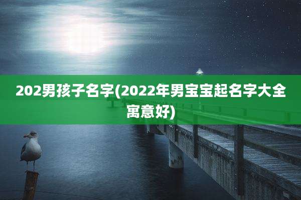 202男孩子名字(2022年男宝宝起名字大全寓意好)