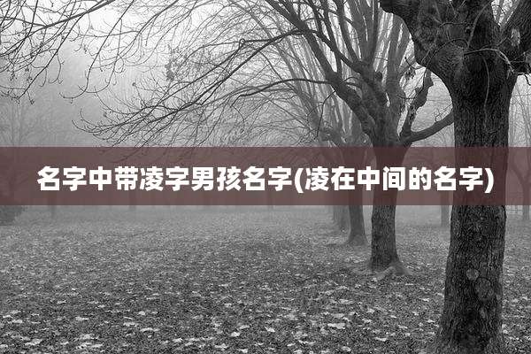 名字中带凌字男孩名字(凌在中间的名字)
