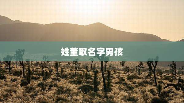 姓董取名字男孩