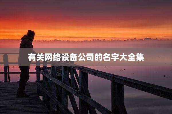 有关网络设备公司的名字大全集