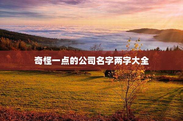 奇怪一点的公司名字两字大全