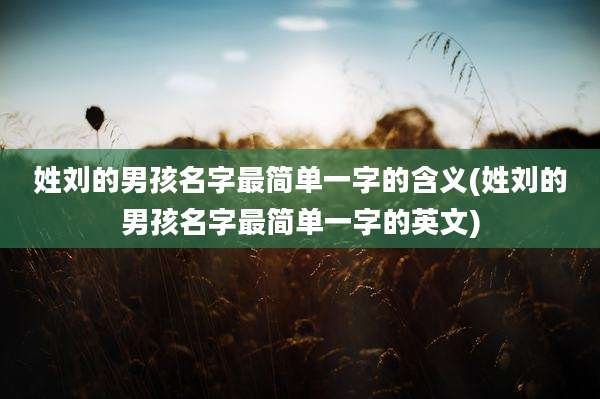 姓刘的男孩名字最简单一字的含义(姓刘的男孩名字最简单一字的英文)