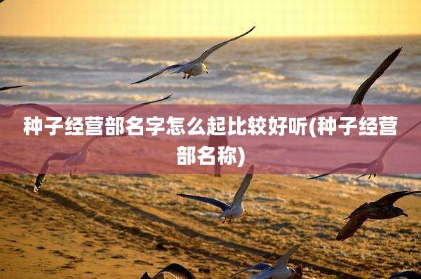 种子经营部名字怎么起比较好听(种子经营部名称)