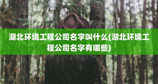 湖北环境工程公司名字叫什么(湖北环境工程公司名字有哪些)