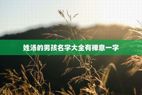 姓汤的男孩名字大全有禅意一字