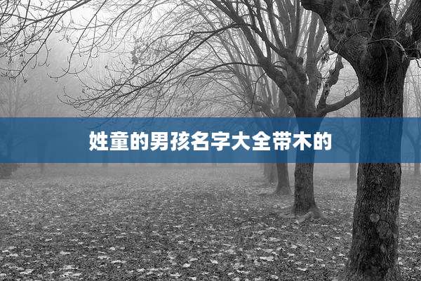 姓童的男孩名字大全带木的
