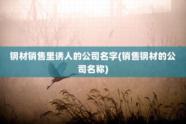 钢材销售里诱人的公司名字(销售钢材的公司名称)