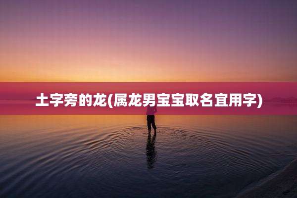 土字旁的龙(属龙男宝宝取名宜用字)