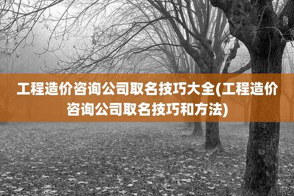 工程造价咨询公司取名技巧大全(工程造价咨询公司取名技巧和方法)