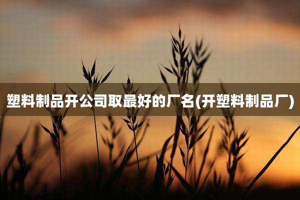塑料制品开公司取最好的厂名(开塑料制品厂)