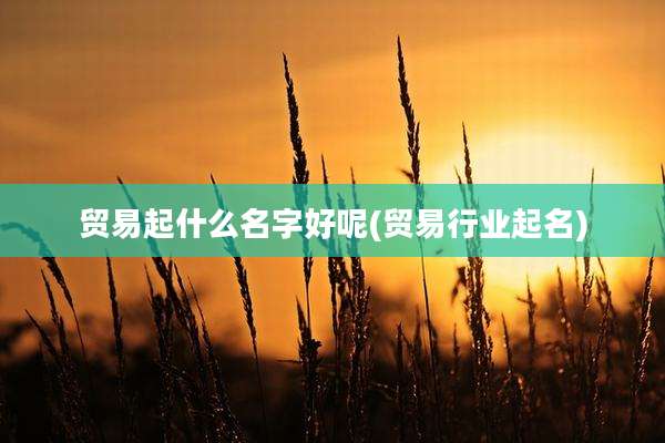 贸易起什么名字好呢(贸易行业起名)
