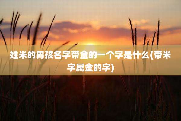 姓米的男孩名字带金的一个字是什么(带米字属金的字)