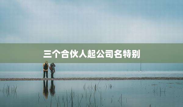 三个合伙人起公司名特别