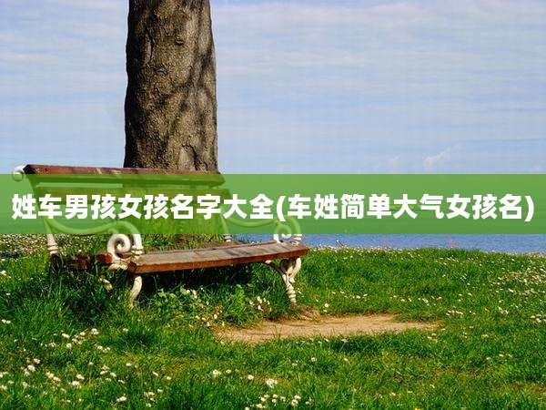 姓车男孩女孩名字大全(车姓简单大气女孩名)