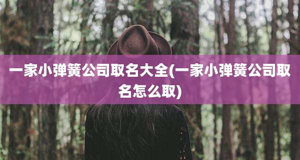 一家小弹簧公司取名大全(一家小弹簧公司取名怎么取)
