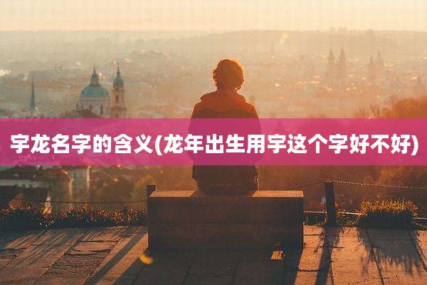 宇龙名字的含义(龙年出生用宇这个字好不好)