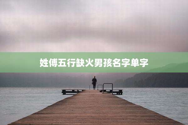 姓傅五行缺火男孩名字单字
