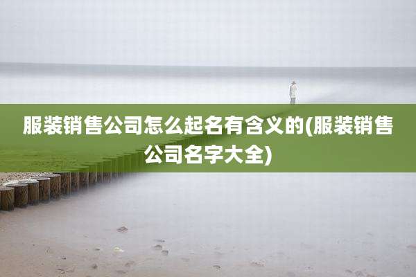 服装销售公司怎么起名有含义的(服装销售公司名字大全)