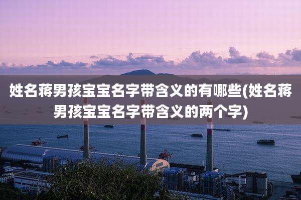 姓名蒋男孩宝宝名字带含义的有哪些(姓名蒋男孩宝宝名字带含义的两个字)