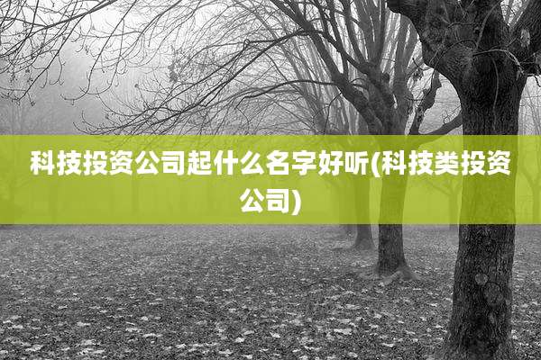 科技投资公司起什么名字好听(科技类投资公司)