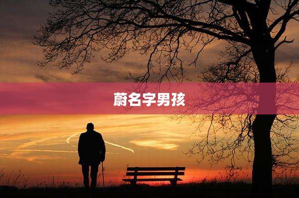 蔚名字男孩