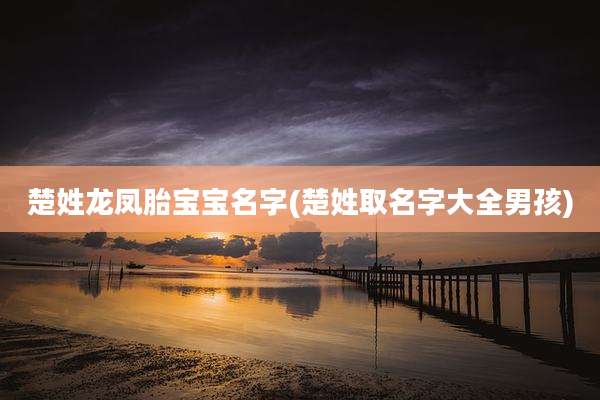 楚姓龙凤胎宝宝名字(楚姓取名字大全男孩)