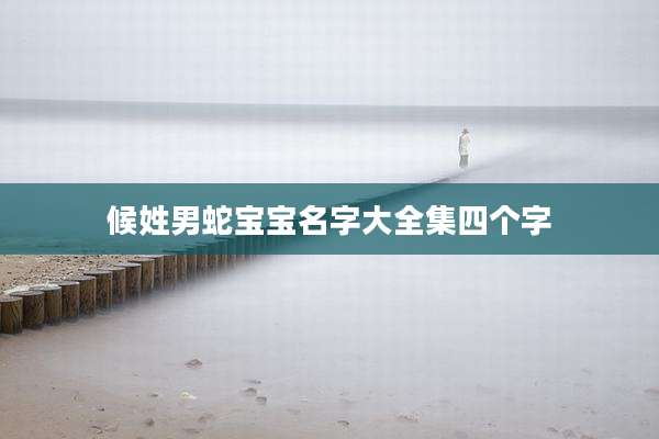 候姓男蛇宝宝名字大全集四个字