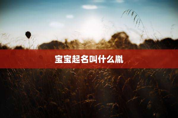 宝宝起名叫什么胤