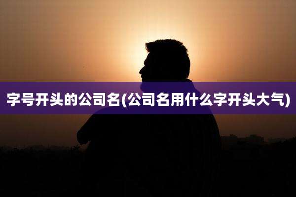 字号开头的公司名(公司名用什么字开头大气)