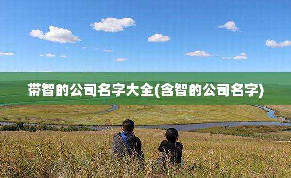 带智的公司名字大全(含智的公司名字)