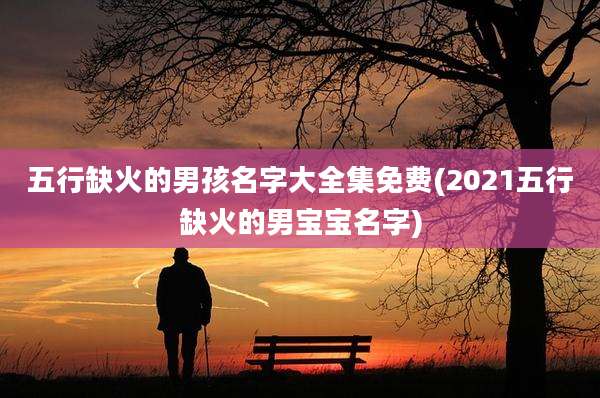 五行缺火的男孩名字大全集免费(2021五行缺火的男宝宝名字)