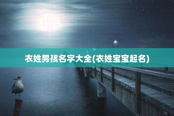 衣姓男孩名字大全(衣姓宝宝起名)