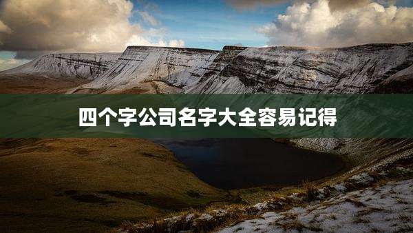 四个字公司名字大全容易记得