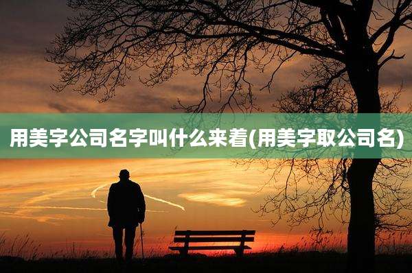 用美字公司名字叫什么来着(用美字取公司名)