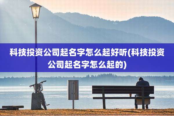 科技投资公司起名字怎么起好听(科技投资公司起名字怎么起的)
