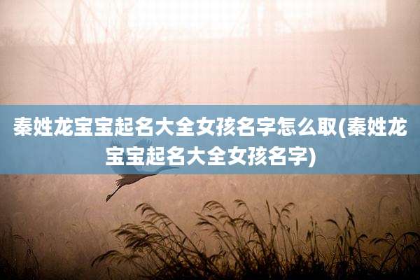 秦姓龙宝宝起名大全女孩名字怎么取(秦姓龙宝宝起名大全女孩名字)