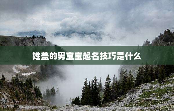 姓盖的男宝宝起名技巧是什么