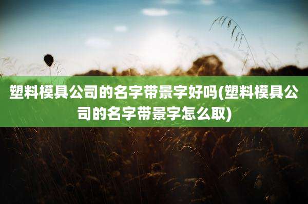 塑料模具公司的名字带景字好吗(塑料模具公司的名字带景字怎么取)